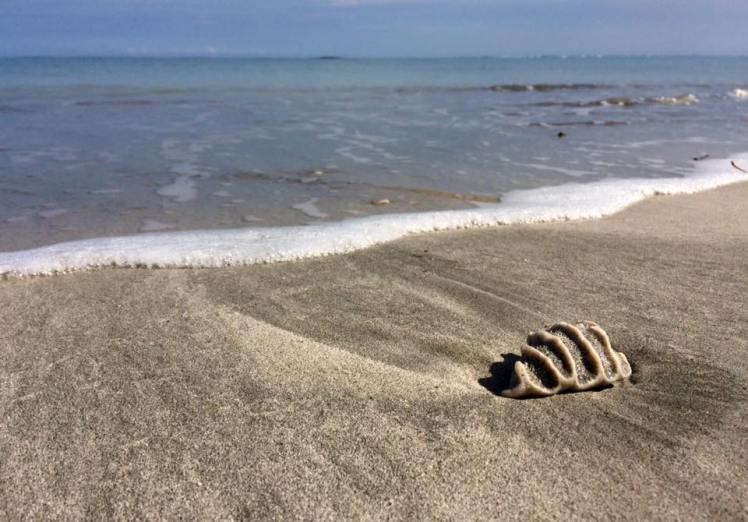 14469465_10101641891333778_7094712106541875307_n