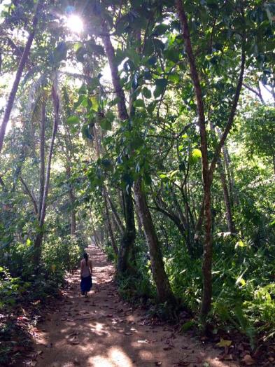 14568061_10101641891263918_3758094772810842342_n