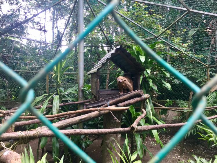 14589735_10154384220265590_8559364961059849275_o