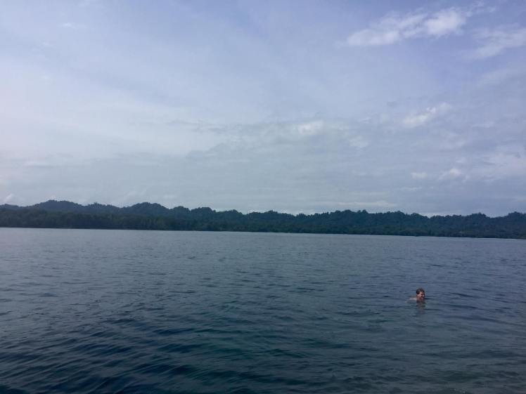 14589880_10154397947640590_4574440290722934048_o