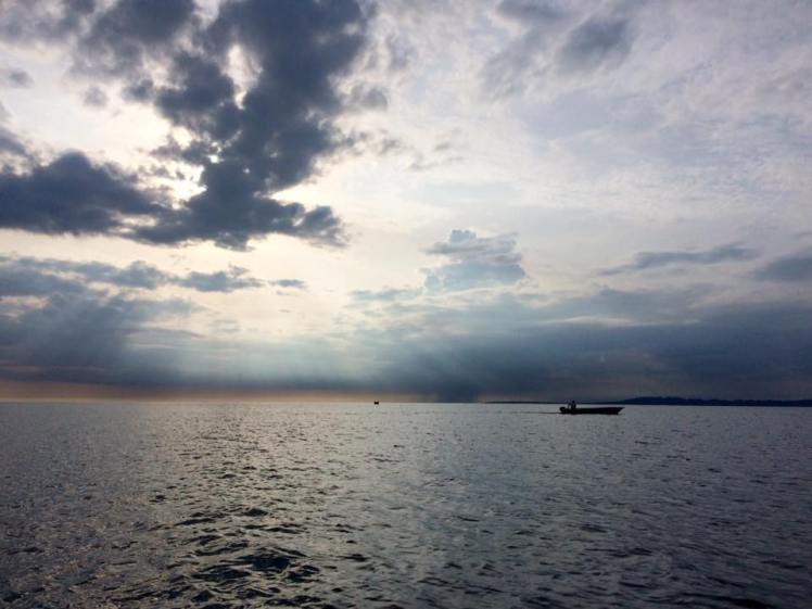 14595712_10101645762565798_2276295000534531580_n