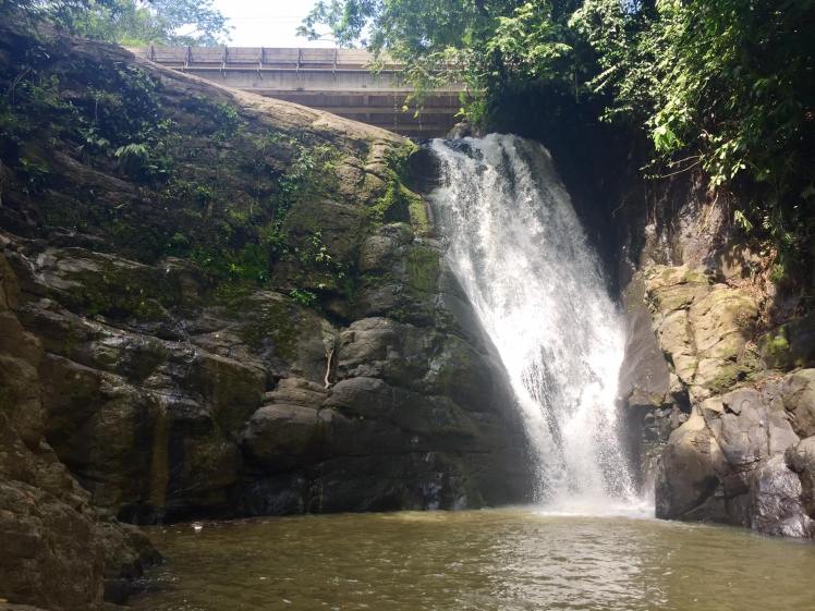 14608927_10154397948590590_6370965735345141899_o