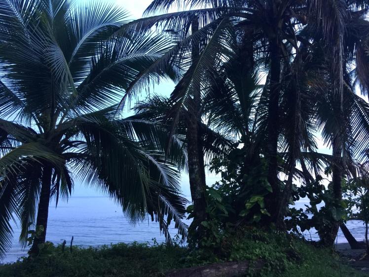 14691303_10154397946805590_4537721073146256921_o