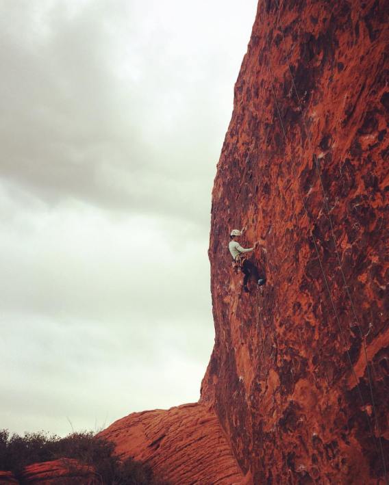 15590989_10154655349165590_127080862832047472_o