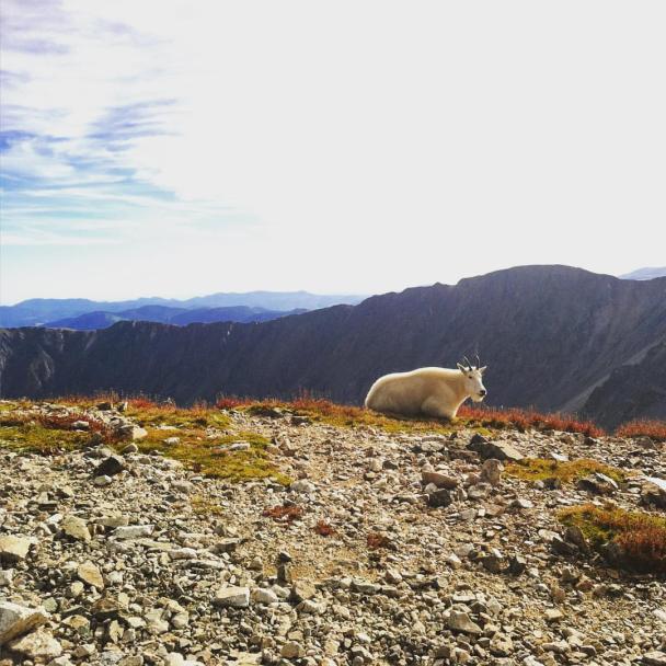 11950387_10153493646970590_2855101056546447216_o