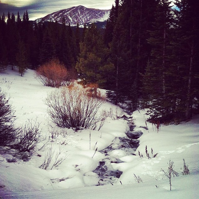 1524600_10152864504845590_7588916713794834275_n