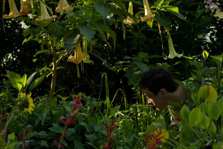 902440_10100337943500688_1954408920_o