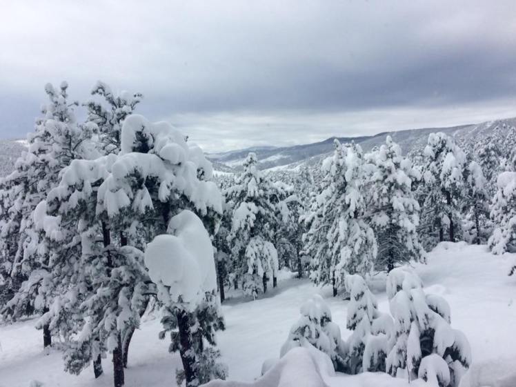 18664193_10102003534657658_1425772042468490598_n